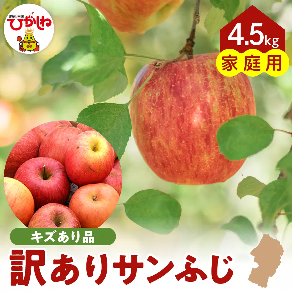 【令和6年産 先行予約】※訳あり※ サンふじ満杯詰(約4.5kg) 東根市 山形県 東根農産センター提供 hi027-132