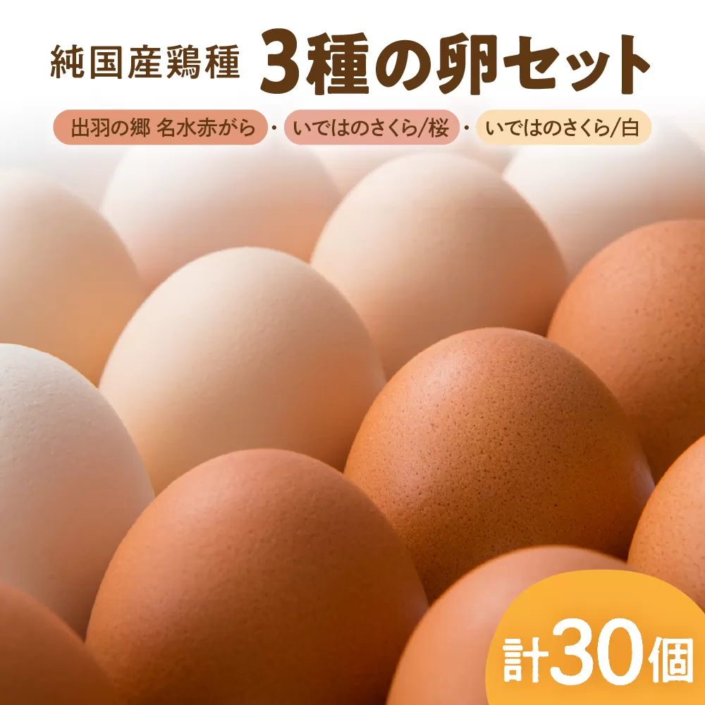 【山形県東根市産】 3種の卵セット【出羽の郷名水赤がら】・【いではのさくら　桜】・【いではのさくら　白】（破損補償含む）半澤鶏卵 山形 東根 hi071-004