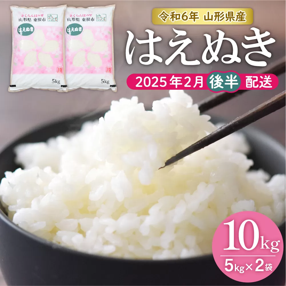 【令和6年産】はえぬき10kg (2025年2月後半送付)JA提供 山形県 東根市　hi002-028-023-1