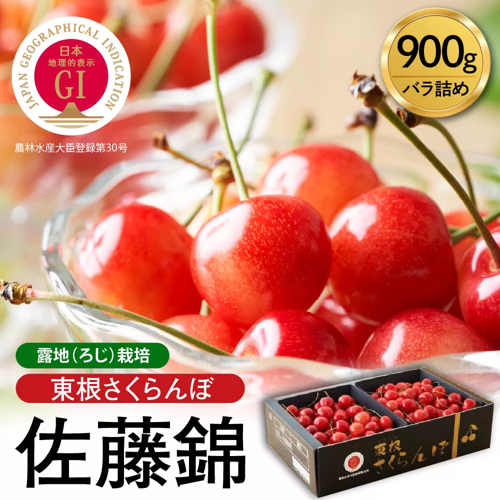 【2025年産 先行予約】GI 「東根さくらんぼ」佐藤錦 900g バラ詰め JA園芸部提供 山形県 東根市　hi001-028