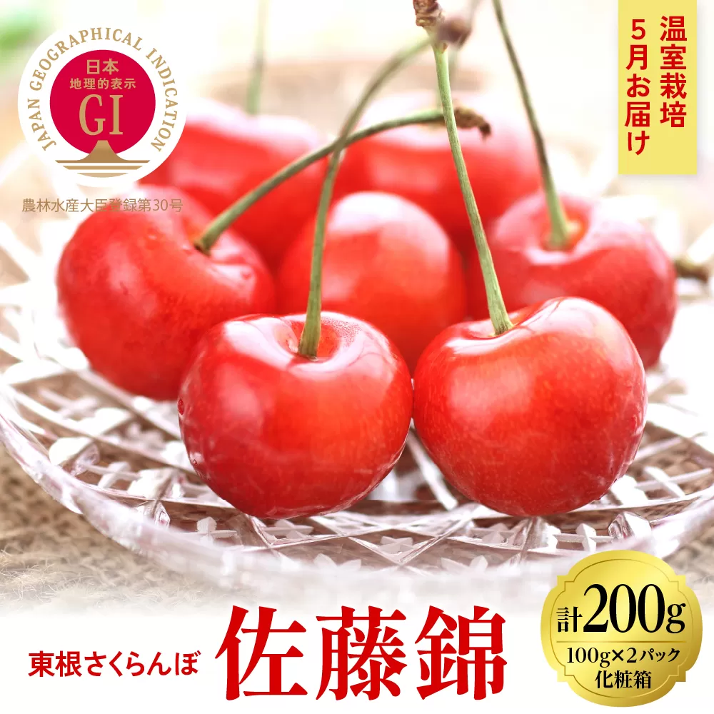 2025年【5月お届け】GI東根さくらんぼ 佐藤錦 特秀品 Lサイズ200g(100gｘ2ﾊﾟｯｸ入り） 山形県 東根市 　hi027-162-1