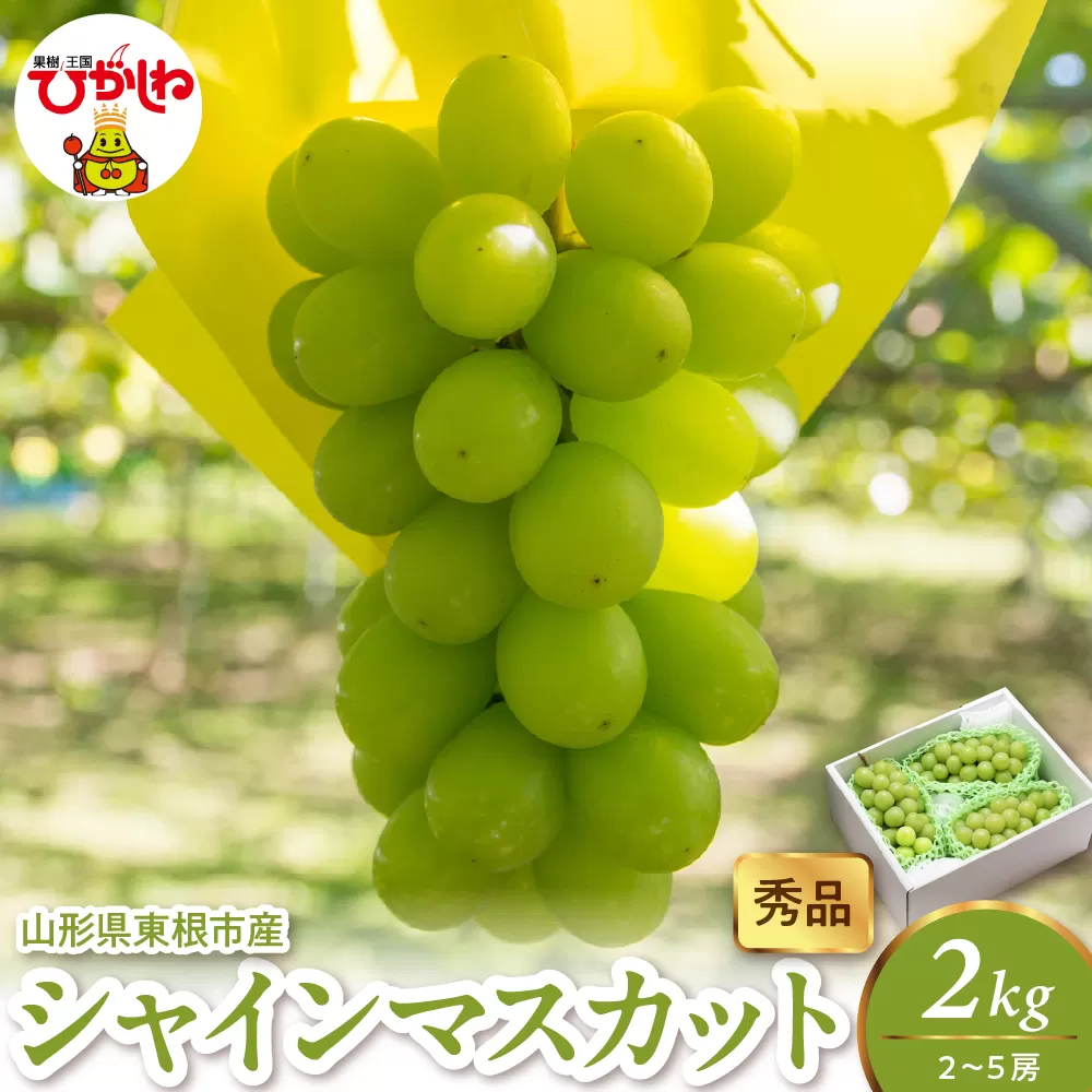 2025年産 シャインマスカット 2kg（2-5房） 秀品 山形県 東根市　hi082-025-1