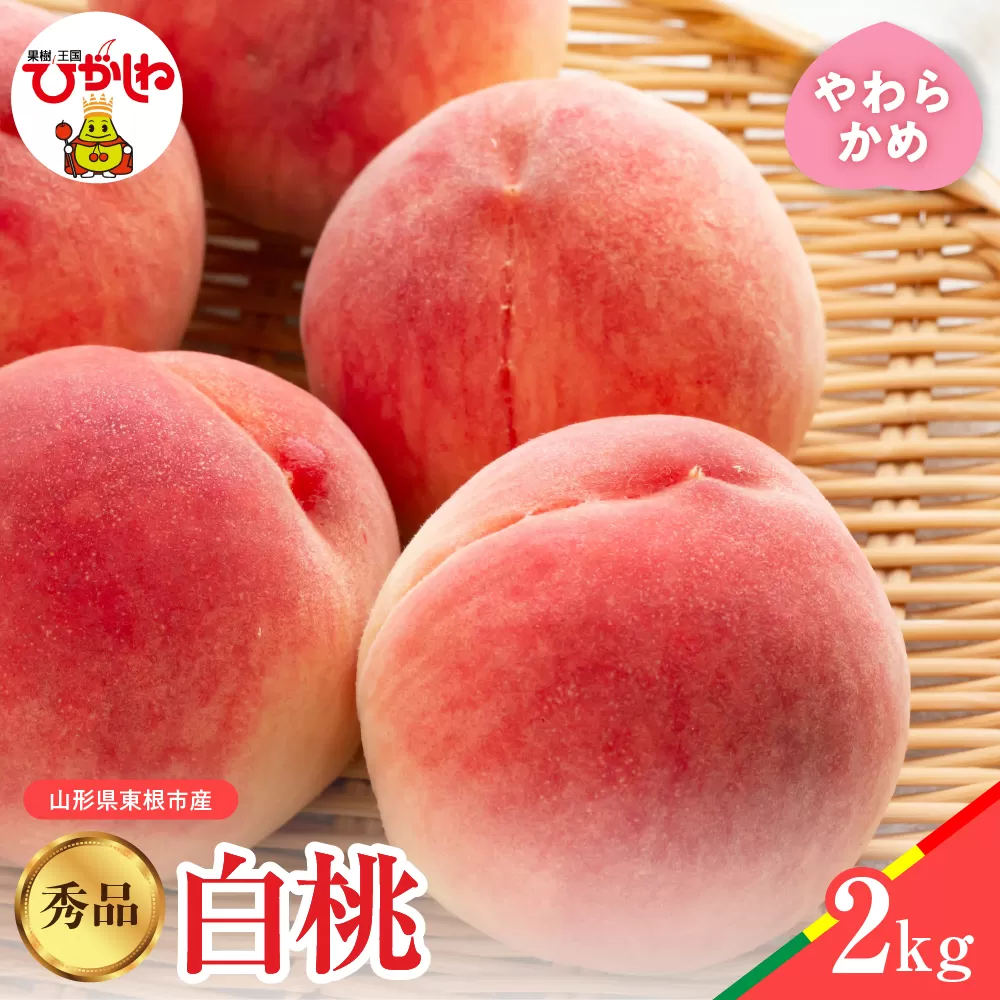 【2025年産　先行予約】白桃 品種おまかせ 秀品2kg(やわらかめ) 山形県 東根市　hi004-hi062-022-1