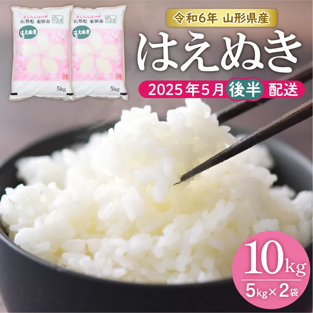 【令和6年産】はえぬき10kg (2025年5月後半送付)JA提供 山形県 東根市　hi002-028-053-1