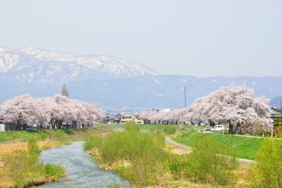 ふるさとひがしね環境保全事業