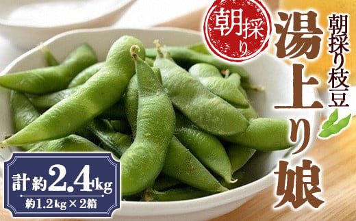 朝採り枝豆 「湯上り娘」 約2.4kg 《令和5年8月発送》『最上園』 山形県 南陽市 [684]｜南陽市｜山形県｜返礼品をさがす｜まいふる by  AEON CARD