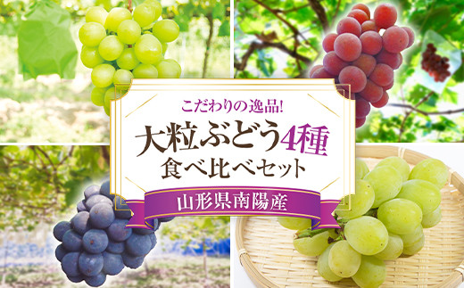 令和6年産先行予約】 大粒ぶどう4種食べ比べセット おまかせ4房《令和6