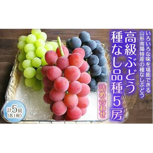 【令和7年産先行予約】 高級ぶどう 種なし品種 5房詰合せ 《令和7年9月中旬～発送》 『漆山果樹園』 葡萄 ぶどう ブドウ 種なし 新鮮 果物 フルーツ デザート 山形県 南陽市 [662]