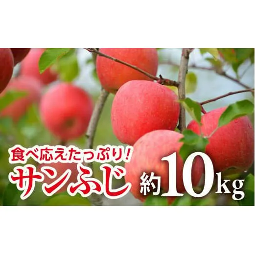 【令和6年産先行予約】 JA りんご 「サンふじ」 約10kg (28～40玉 秀) 《令和6年11月中旬～12月中旬発送》 『JA山形おきたま』 山形県 南陽市 [720]