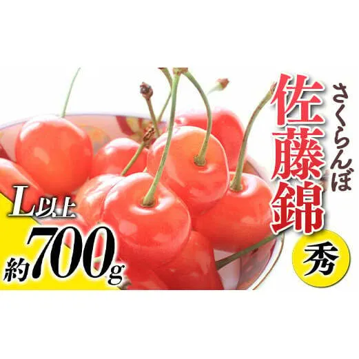 【令和7年産先行予約】 さくらんぼ 「佐藤錦」 約700g (秀 L以上) バラ詰め 《令和7年6月上旬～発送》 『生産者おまかせ』 サクランボ 果物 フルーツ 産地直送 山形県 南陽市 [884]