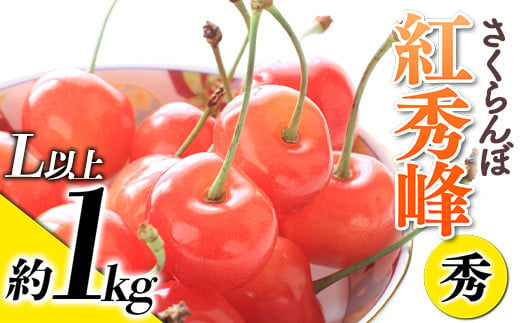 令和6年産先行予約】 さくらんぼ 「紅秀峰」 約1kg (秀 L以上) バラ詰め 《令和6年6月下旬～発送》 『生産者おまかせ』 サクランボ 果物  フルーツ 産地直送 生産農家直送 山形県 南陽市 [887]｜南陽市｜山形県｜返礼品をさがす｜まいふる by AEON CARD