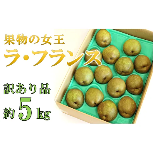 【令和6年産先行予約】 〈訳あり品 家庭用〉 ラ・フランス 約5kg (10～18玉) 《令和6年10月下旬～発送》 『旬の果実 佐藤市右衛門農園』 ラフランス 西洋梨 洋なし 訳あり 果物 フルーツ デザート 山形県 南陽市 [1047]