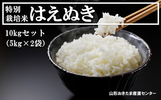 特別栽培米 はえぬき 10kg (5kg×2袋) 『山形おきたま産直センター』 山形県 南陽市 [1000]｜南陽市｜山形県｜返礼品をさがす｜まいふる  by AEON CARD