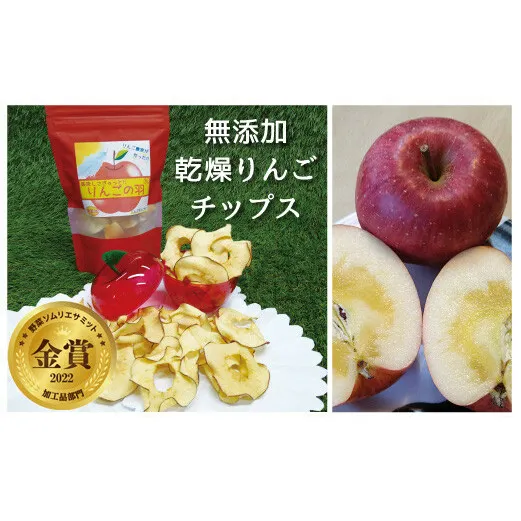 りんごの羽（無添加・ノンフライりんごチップス）10袋セット 【野菜ソムリエサミット加工品部門 金賞】 『船中農園』 山形県 南陽市 [1231]