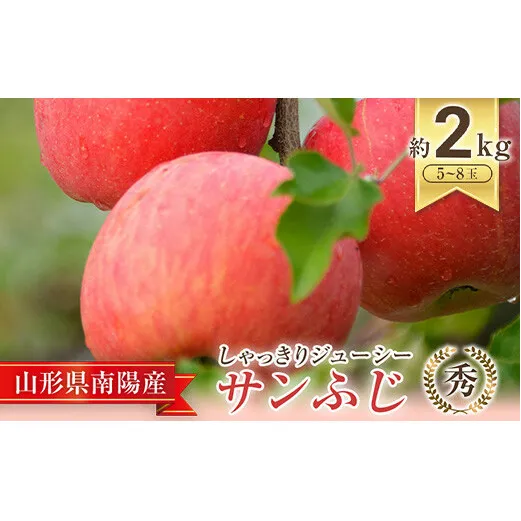 【令和6年産先行予約】 JA りんご 「サンふじ」 約2kg (5～8玉 秀) 《令和6年11月中旬～12月中旬発送》 『JA山形おきたま』 山形県 南陽市 [1160]