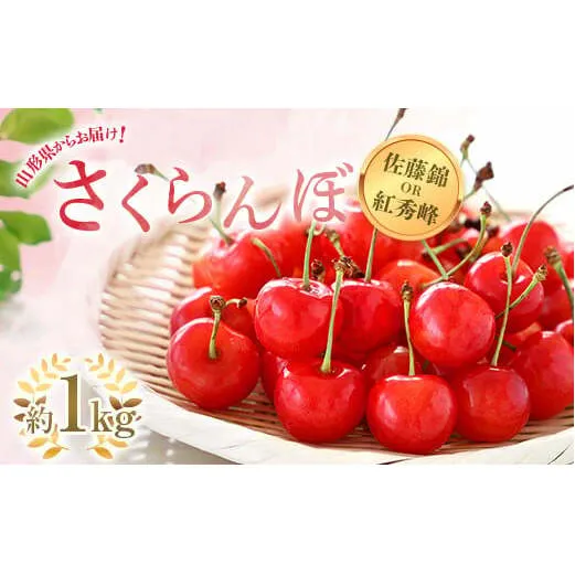 【令和7年産先行予約】 さくらんぼ 「佐藤錦または紅秀峰」 約1kg (秀 L以上) バラ詰め 《令和7年6月上旬～発送》 『南陽中央青果市場』 サクランボ 果物 フルーツ 山形県 南陽市 [1204]