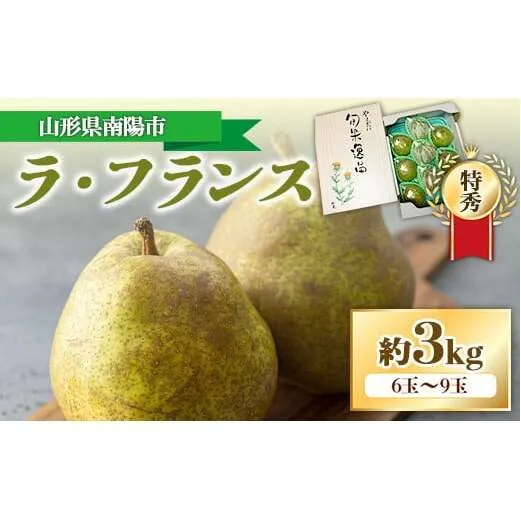 【令和6年産先行予約】ラ・フランス 約3kg (6～9玉 特秀)  《令和6年11月上旬～発送》 『長谷部農園』 洋梨 梨 果物 フルーツ 山形県 南陽市 [1208]