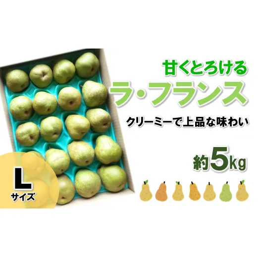 【令和6年産先行予約】 ラ・フランス 約5kg  (19玉 Lサイズ) 《令和6年11月上旬～発送》 『田口農園』 ラフランス 西洋梨 洋なし 果物 フルーツ デザート 山形県 南陽市 [1295]