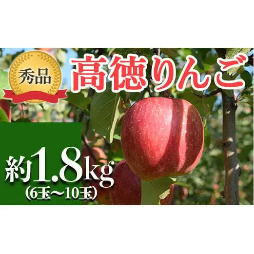 【令和6年産先行予約】 JA りんご 高徳 約1.8kg (6玉～10玉 秀以上) 《令和6年11月上旬～中旬発送》 『JA山形おきたま』 山形県 南陽市 [1409]