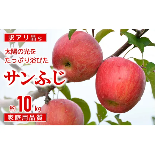 【令和6年産先行予約】 〈訳あり品 家庭用〉 JA りんご 「サンふじ」 約10kg (28玉～46玉) 《令和6年11月中旬～12月中旬発送》 『JA山形おきたま』 山形県 南陽市 [1410]