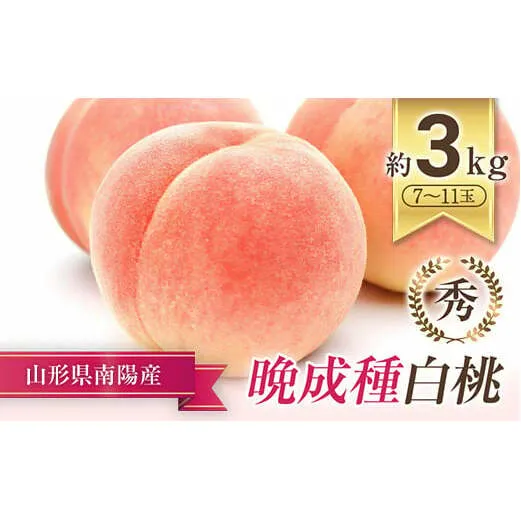 【令和7年産先行予約】晩成のもも「あぶくま・だて白桃・西王母 等」約3kg (7～11玉) 《令和7年9月上旬～発送》 『生産者 佐藤 勇二』 桃 モモ 産地直送 生産農家直送 山形県 南陽市 [967]