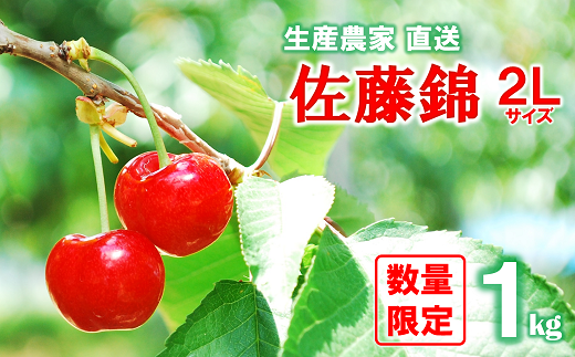 令和7年産先行予約】 さくらんぼ 「佐藤錦」 約1kg (秀 2L) バラ詰め 《令和7年6月中旬～発送》 『田中農園』 サクランボ 果物 フルーツ  産地直送 生産農家直送 山形県 南陽市 [1428]｜南陽市｜山形県｜返礼品をさがす｜まいふる by AEON CARD