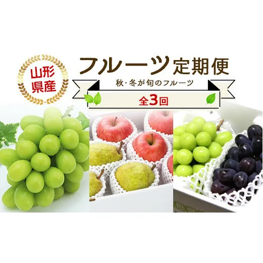 【令和6年産先行予約】 《定期便3回》JA 秋冬フルーツ定期便 『JA山形おきたま』 山形県 南陽市 [1493]