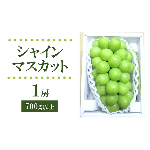 【令和6年産先行予約】 シャインマスカット 700g以上 (1房 秀) 《令和6年9月上旬～発送》 『フナヤマ農園』 山形県 南陽市 [1629]
