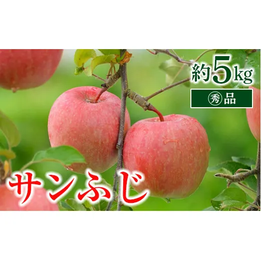 【令和6年産先行予約】 〈家庭用〉 りんご 「サンふじ」 約5kg (13～18玉 マル秀) パック詰 《令和6年11月中旬～12月上旬発送》 『マルタニ農園』 リンゴ 山形県 南陽市 [1281]