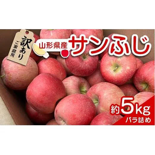 【令和6年産先行予約】 〈訳あり品 家庭用〉 りんご 「サンふじ」 約5kg バラ詰め 《令和6年12月上旬～令和7年2月下旬発送》 『カネタ高橋青果』 リンゴ 山形県 南陽市 [1958]