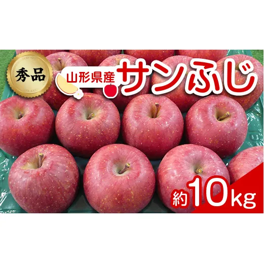 【令和6年産先行予約】 りんご 「サンふじ」 約10kg (24～46玉 秀品) 《令和6年12月上旬～令和7年2月下旬発送》 『カネタ高橋青果』 リンゴ 山形県 南陽市 [1961]