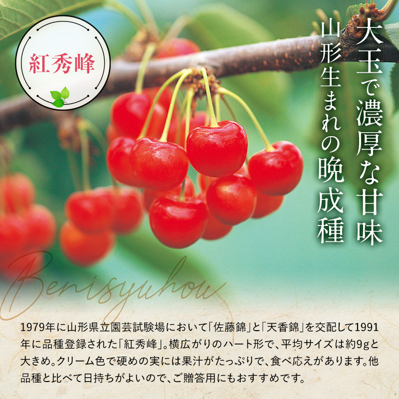 令和6年産先行予約】 さくらんぼ 6種詰合せ 約500g (特選 木箱入り