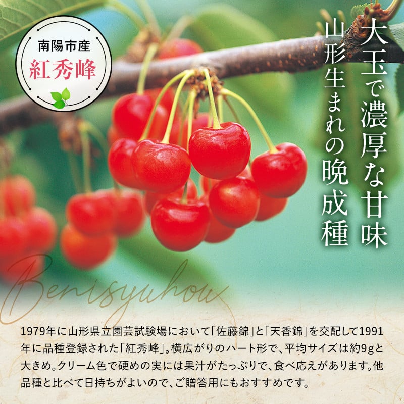 令和6年産先行予約】 さくらんぼ 「紅秀峰」 約1kg (秀 L以上) バラ詰め 《令和6年6月下旬～発送》 『生産者おまかせ』 サクランボ 果物  フルーツ 産地直送 生産農家直送 山形県 南陽市 [887]｜南陽市｜山形県｜返礼品をさがす｜まいふる by AEON CARD