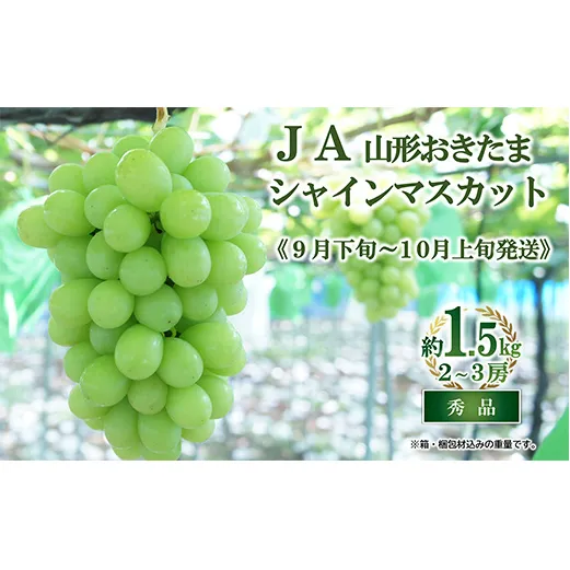 【令和6年産先行予約】 JA シャインマスカット 約1.5kg (2～3房 秀) 《令和6年9月下旬～発送》 『JA山形おきたま』 山形県 南陽市 [2054]