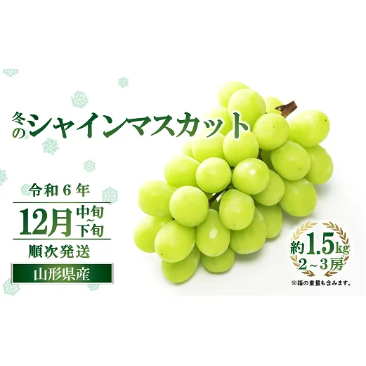 【令和6年産先行予約】 JA 冬のシャインマスカット 約1.5kg (2～3房 秀) 《令和6年12月中旬～下旬発送》 『JA山形おきたま』 山形県 南陽市 [2055]