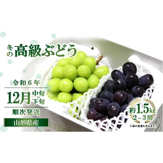 【令和6年産先行予約】 JA 冬の高級ぶどう (シャインマスカット・ウィンク) 約1.5kg (計2～3房 秀) 《令和6年12月中旬～下旬発送》 『JA山形おきたま』 山形県 南陽市 [2056]