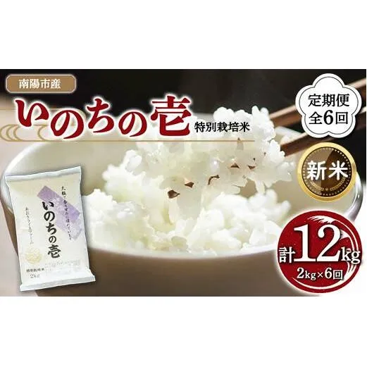 【令和6年産 新米 先行予約】 【金賞受賞農家】 《定期便6回》 特別栽培米 いのちの壱 2kg×6か月 《令和6年10月中旬～発送》 『あおきライスファーム』 山形南陽産 米 白米 精米 ご飯 農家直送 山形県 南陽市 [1597-R6]