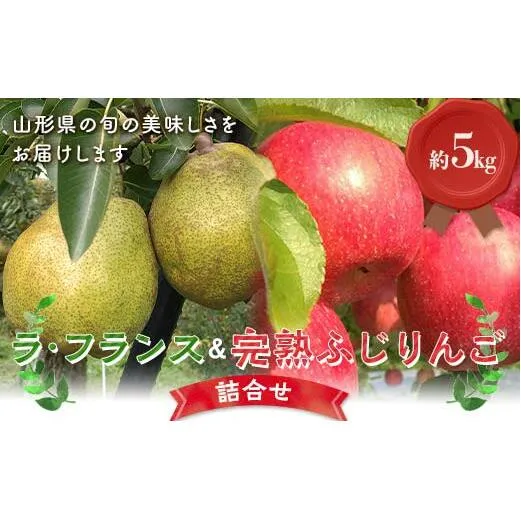 【令和6年産先行予約】 ラ・フランス & 完熟ふじりんご 詰合せ 約5kg (2L～3L) 《令和6年11月上旬～発送》 【全国りんご選手権 銀賞】 『船中農園』 山形県 南陽市 [2176]