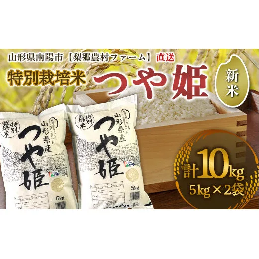 【令和6年産 新米 先行予約】 【農薬使用量8割減】 特別栽培米 つや姫 10kg (5kg×2袋) 《令和6年10月上旬～発送》 『梨郷農村ファーム』 山形南陽産 米 精米 ご飯 農家直送 山形県 南陽市 [834-RR6]