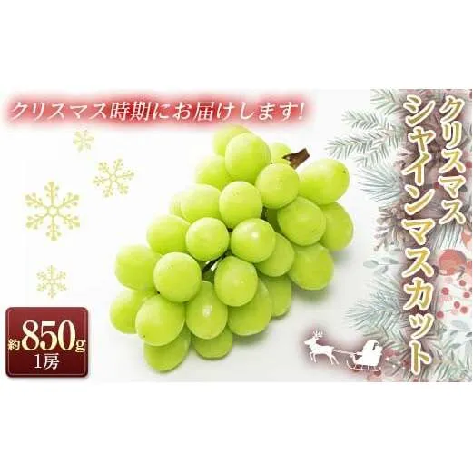 【令和6年産先行予約】 クリスマス シャインマスカット 約850g以上 (1房 秀) 《令和6年12月21日～発送》 『フナヤマ農園』 山形県 南陽市 [2184]