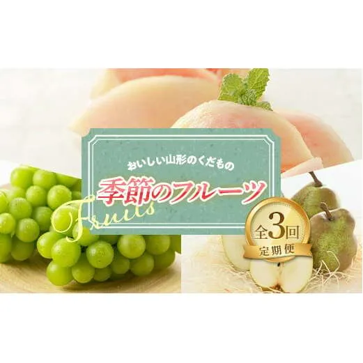 【令和7年産先行予約】《定期便3回》 おいしい山形のくだもの 季節のフルーツ定期便 『NOWAフルーツ』 もも 清水白桃 シャインマスカット ラフランス 山形南陽産 山形県 南陽市 [2063-R7]