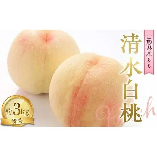 【令和7年産先行予約】 もも「清水白桃」 約3kg (8～10玉 特秀) 《令和7年8月中旬～発送》 『NOWAフルーツ』 モモ 果物 フルーツ デザート 山形南陽産 山形県 南陽市 [2246]