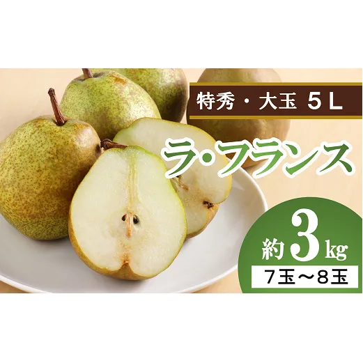 [令和6年産先行予約] 大玉ラ・フランス 約3kg (7〜8玉 特秀 5L) [令和6年10月中旬〜発送] 『生産者 沼澤 裕太』 ラフランス 西洋梨 洋なし 山形南陽産 山形県 南陽市 [2249]