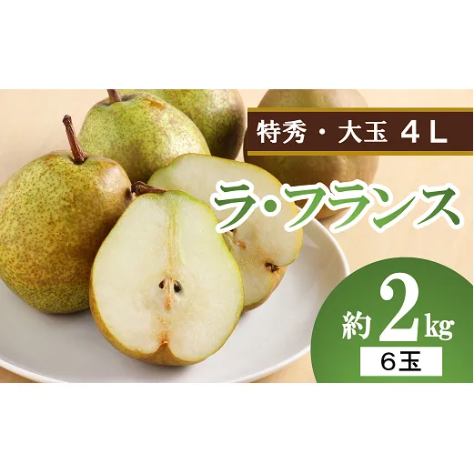 【令和7年産先行予約】 大玉ラ・フランス 約2kg (6玉 特秀 4L) 《令和7年10月中旬～発送》 『生産者 沼澤 裕太』 ラフランス 西洋梨 洋なし 果物 山形県 南陽市 [2250-R7]
