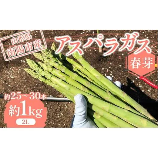 【令和7年産先行予約】 アスパラガス （春芽） 約1kg （2Lサイズ 約25～30本前後） 《令和7年5月上旬～発送》 『みつば農園』 山形県 南陽市 [1953]