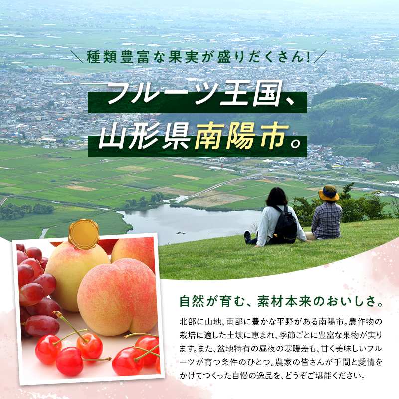 令和7年産先行予約】 高級ぶどう 種なし品種 5房詰合せ 《令和7年9月中旬～発送》 『漆山果樹園』 葡萄 ぶどう ブドウ 種なし 新鮮 果物  フルーツ デザート 山形県 南陽市 [662]｜南陽市｜山形県｜返礼品をさがす｜まいふる by AEON CARD