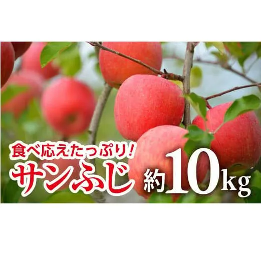 【令和7年産先行予約】 JA りんご 「サンふじ」 約10kg (28～40玉 秀) 《令和7年11月中旬～12月中旬発送》 『JA山形おきたま』 林檎 リンゴ 果物 フルーツ 山形県 南陽市 [720-R7]