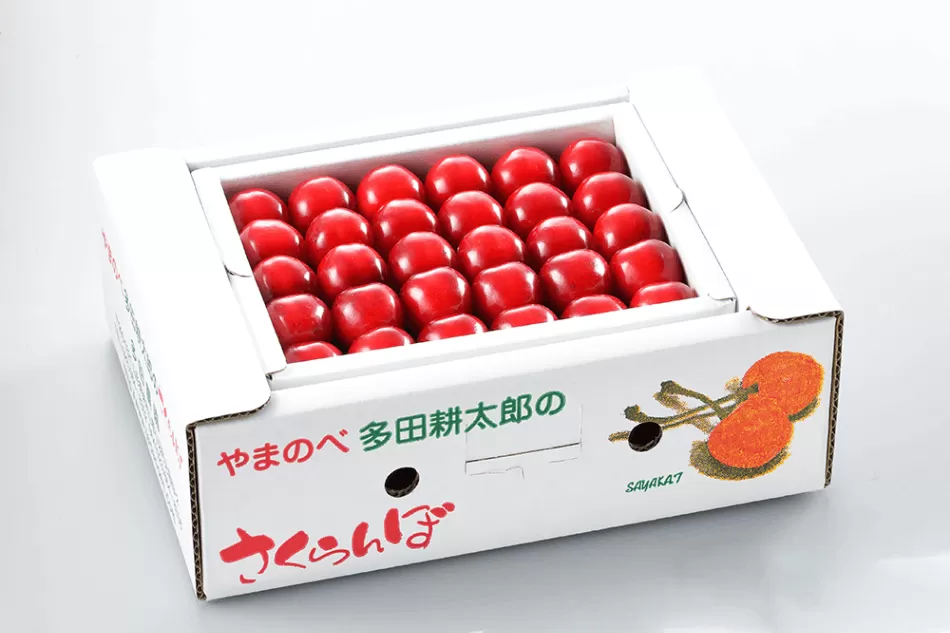 《先行予約》2024年 山形県産 紅秀峰 本詰め 約500g 2L やまのべ多田耕太郎のさくらんぼ サクランボ F20A-046