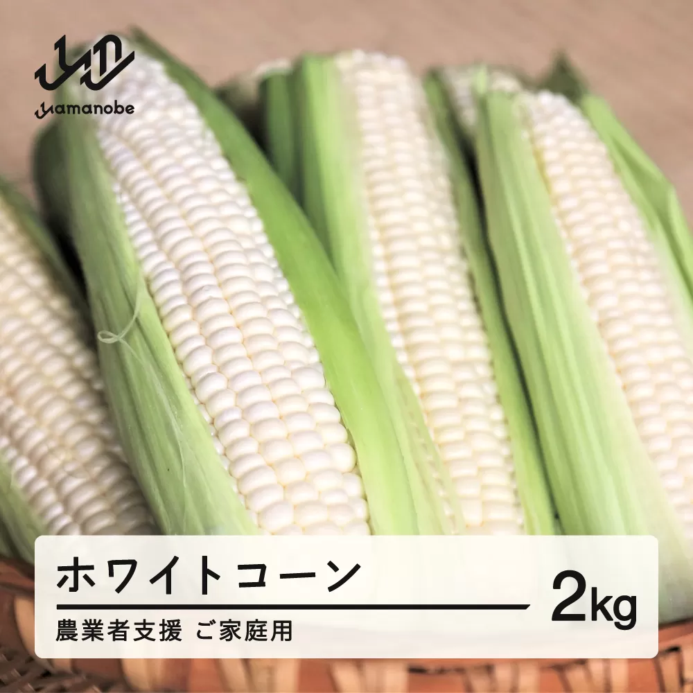  ≪先行予約≫ 農業者支援 ご家庭用 2025年 山形県産 ホワイトコーン 2kg 生で味わう 白とうもろこし トウモロコシ コーン 夏 野菜 やさい ※沖縄・離島への配送不可 ot-cnwwx2