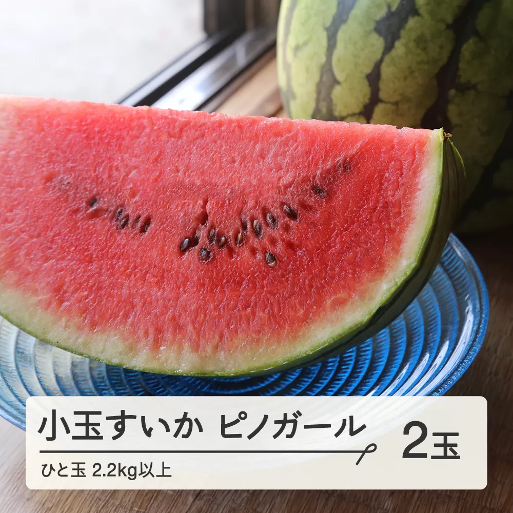 《先行予約》2024年 山形県産 お子さんに大人気！小玉スイカ「ピノガール」 2玉（2.2kg以上×2玉）2024年7月下旬から順次発送 すいか スイカ 西瓜 フルーツ 果物 野菜 F21A-246